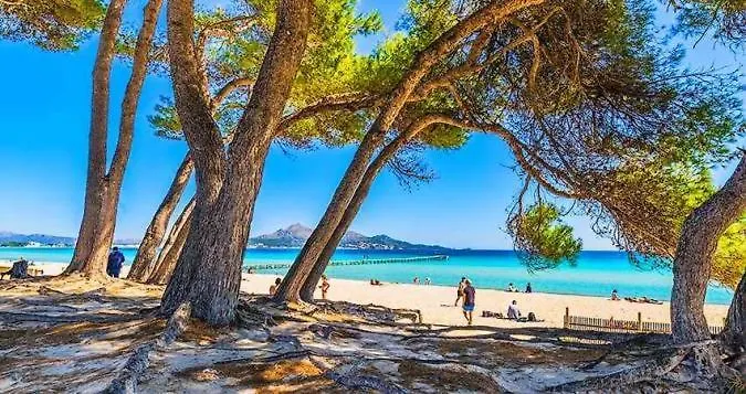 Appartamento Canopus Paradise Alcúdia Spagna